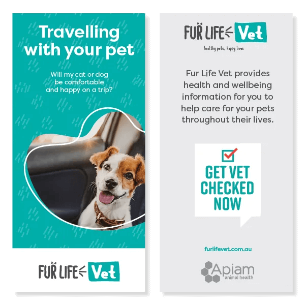 Travelling with your pet